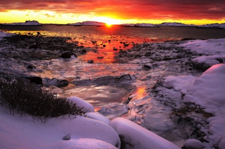 Lofoten, januari